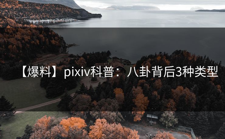 【爆料】pixiv科普:八卦背后3种类型 【爆料】pixiv科普:八卦背后3种类型