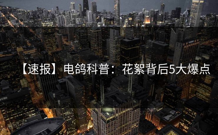 【速报】电鸽科普：花絮背后5大爆点