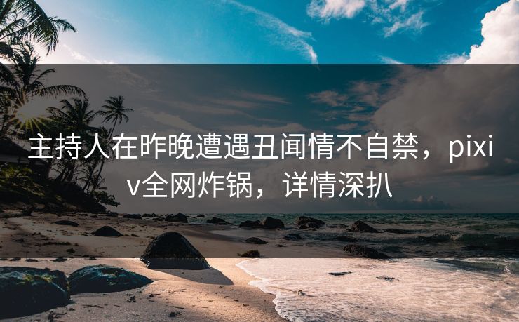 主持人在昨晚遭遇丑闻情不自禁，pixiv全网炸锅，详情深扒